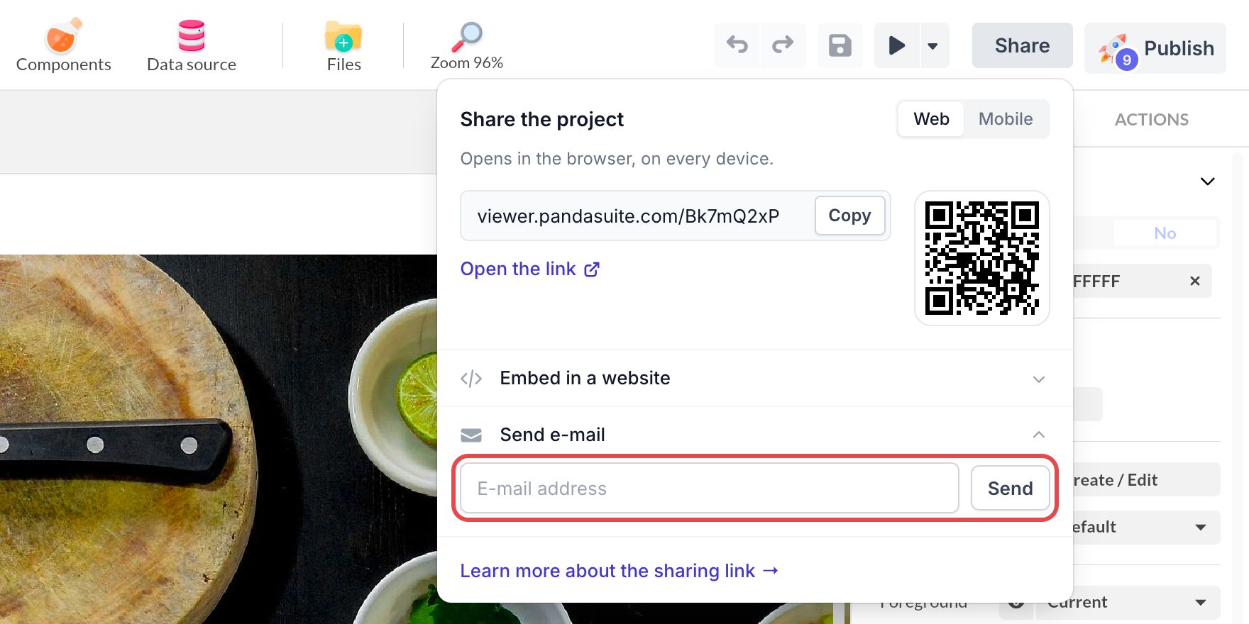 Send e-mail row expanded in the Share the project window: the E-mail address field and the Send button are framed