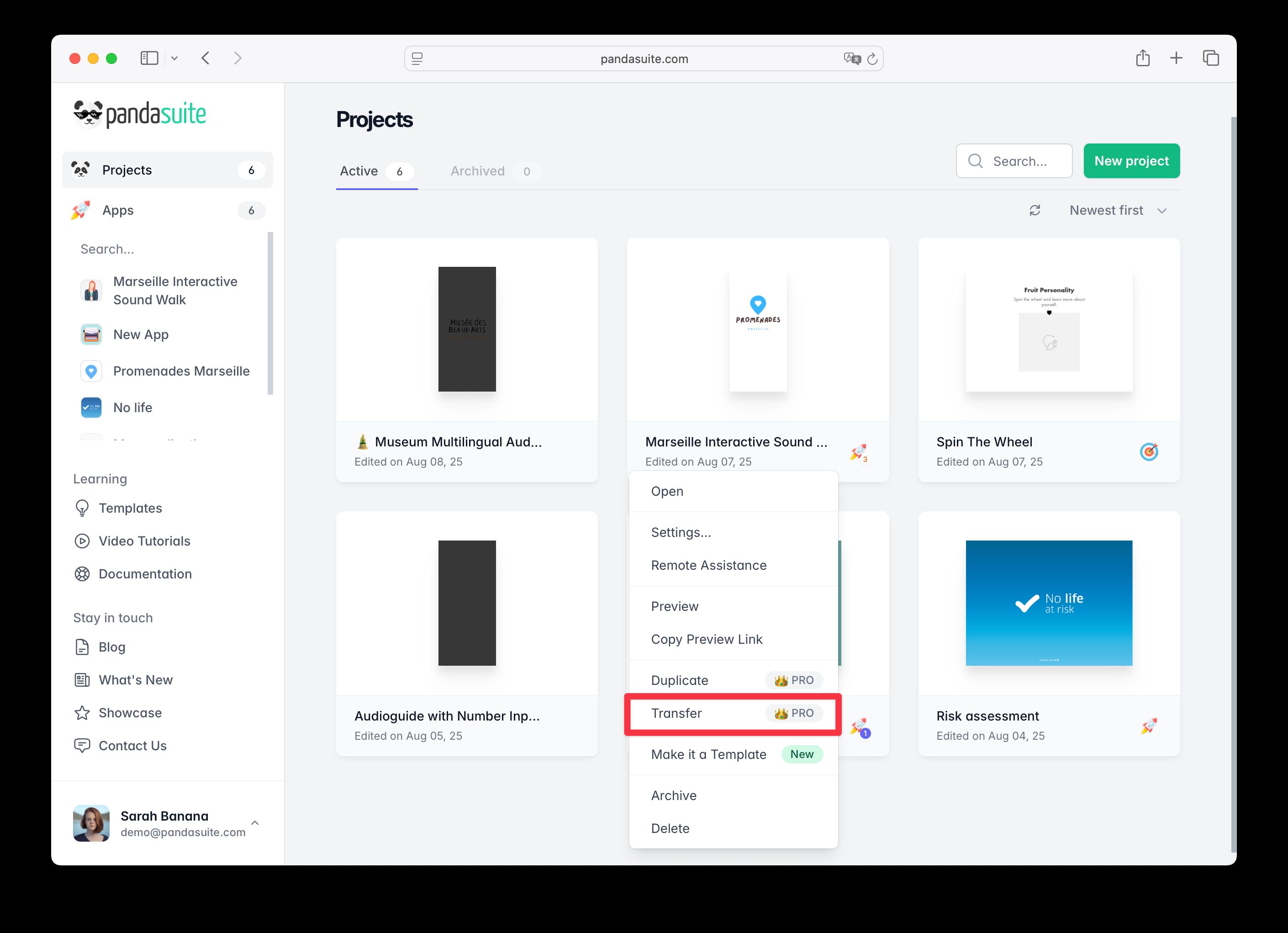 Transfer project window